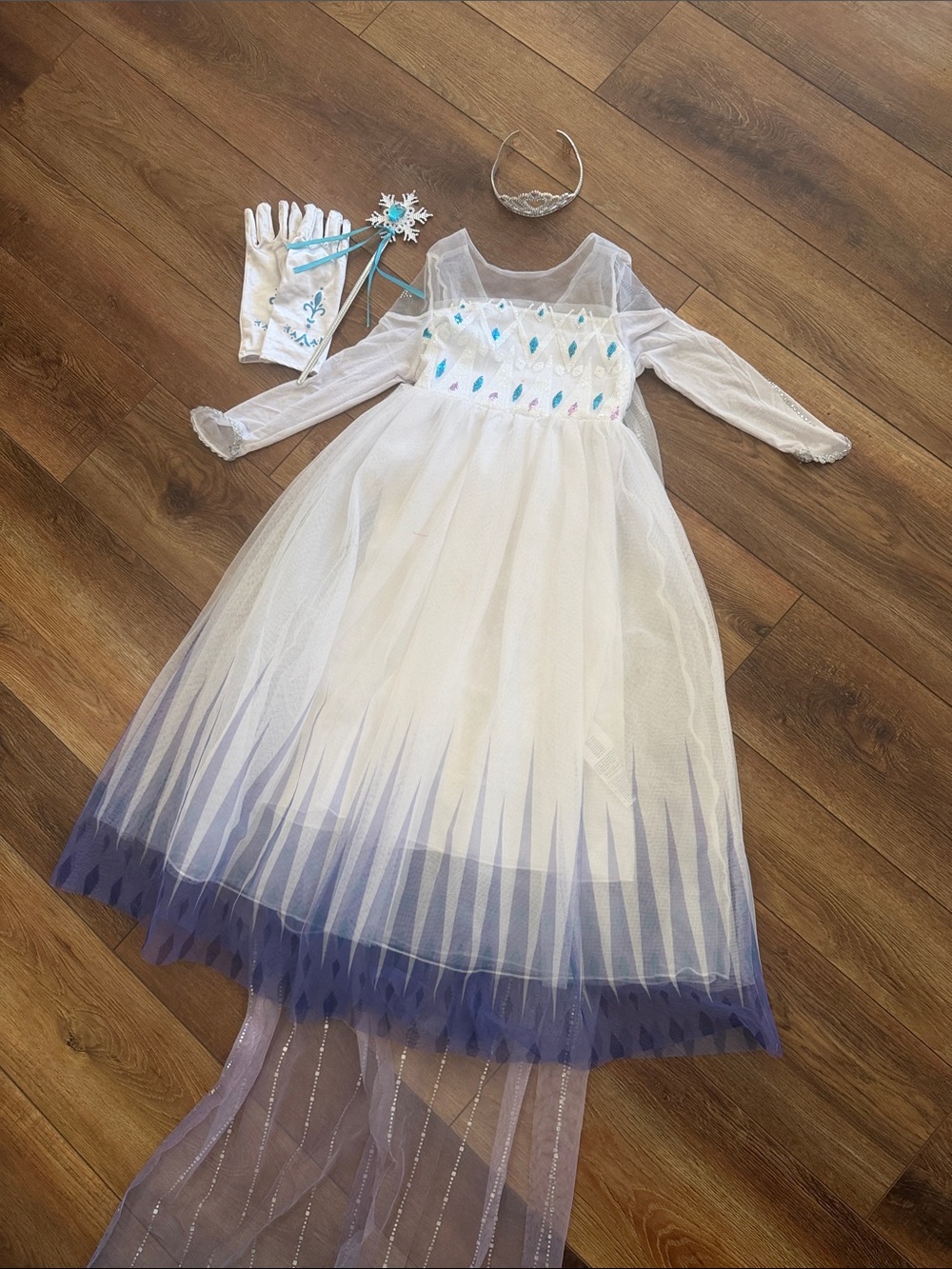 Disney Frozen Elsa Costume